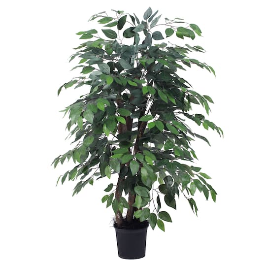 4ft. Potted Lush Green Ficus Bush